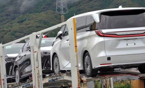 国产车或许难敌的神车？地表最贵“面包车”雷克萨斯LM售价揭晓